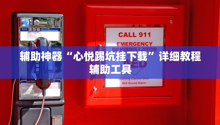 辅助神器“心悦踢坑挂下载”详细教程辅助工具