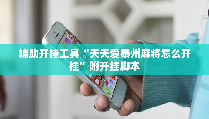 辅助开挂工具“天天爱泰州麻将怎么开挂”附开挂脚本 辅助开挂工具“天天爱泰州麻将怎么开挂”附开挂脚本