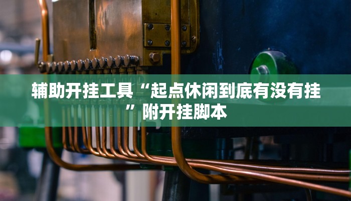 辅助开挂工具“起点休闲到底有没有挂”附开挂脚本