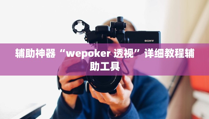 辅助神器“wepoker 透视”详细教程辅助工具