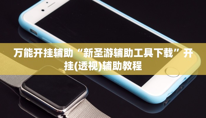 万能开挂辅助“新圣游辅助工具下载”开挂(透视)辅助教程