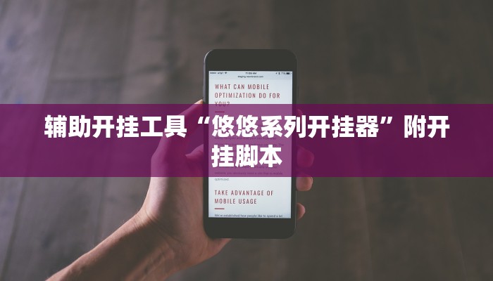 辅助开挂工具“悠悠系列开挂器”附开挂脚本