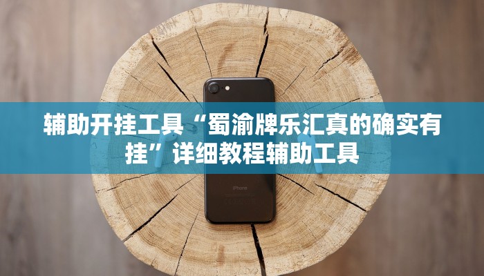 辅助开挂工具“蜀渝牌乐汇真的确实有挂”详细教程辅助工具