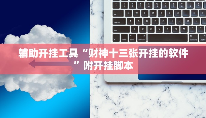 辅助开挂工具“财神十三张开挂的软件”附开挂脚本