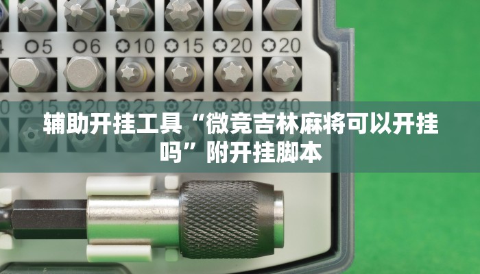 万能开挂辅助“家乡大贰开挂器”分享用挂教程 万能开挂辅助“家乡大贰开挂器”分享用挂教程