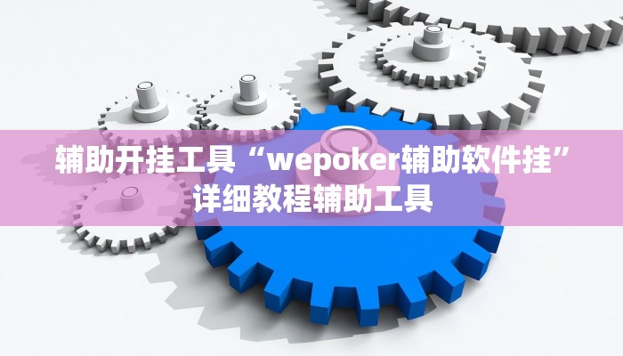 辅助开挂工具“wepoker辅助软件挂”详细教程辅助工具