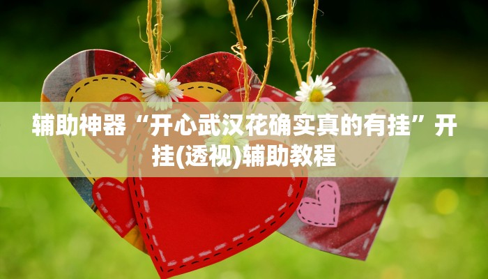 辅助神器“开心武汉花确实真的有挂”开挂(透视)辅助教程 辅助神器“开心武汉花确实真的有挂”开挂(透视)辅助教程