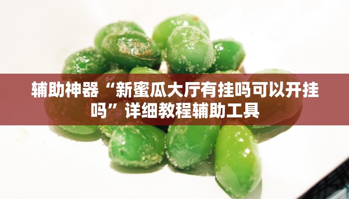 辅助神器“新蜜瓜大厅有挂吗可以开挂吗”详细教程辅助工具