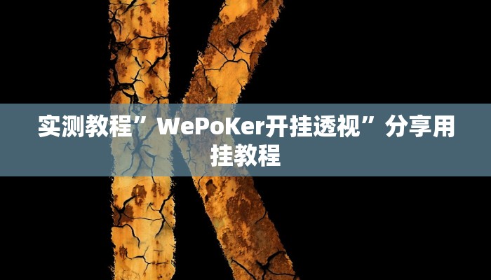 实测教程”WePoKer开挂透视”分享用挂教程