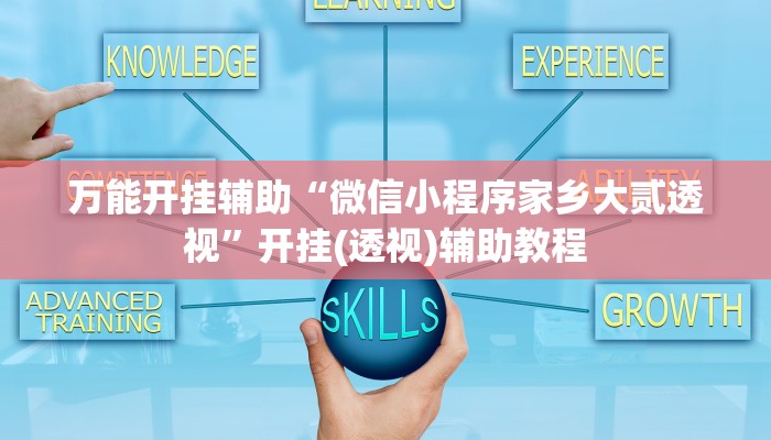 万能开挂辅助“微信小程序家乡大贰透视”开挂(透视)辅助教程 万能开挂辅助“微信小程序家乡大贰透视”开挂(透视)辅助教程