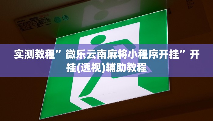 辅助神器“17好友麻将巴彦麻将挂”2025开挂教程步骤