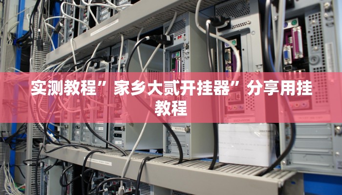 实测教程”家乡大贰开挂器”分享用挂教程 实测教程”家乡大贰开挂器”分享用挂教程
