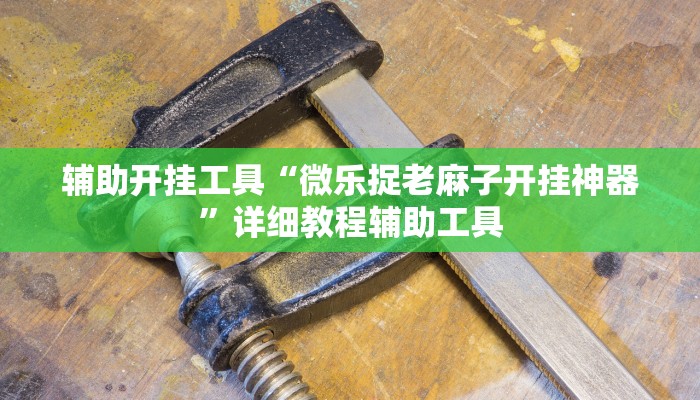 辅助开挂工具“微乐捉老麻子开挂神器”详细教程辅助工具