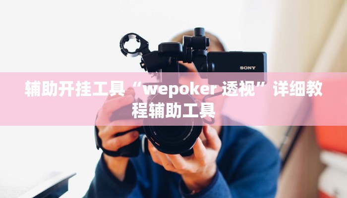 辅助开挂工具“wepoker 透视”详细教程辅助工具