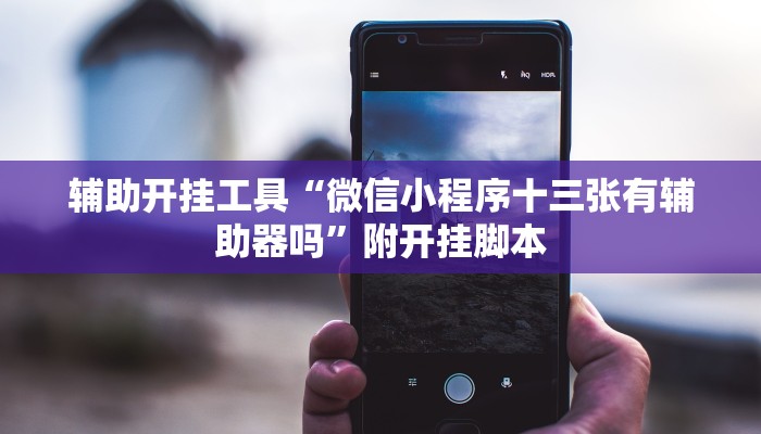 辅助开挂工具“微信小程序十三张有辅助器吗”附开挂脚本 辅助开挂工具“微信小程序十三张有辅助器吗”附开挂脚本