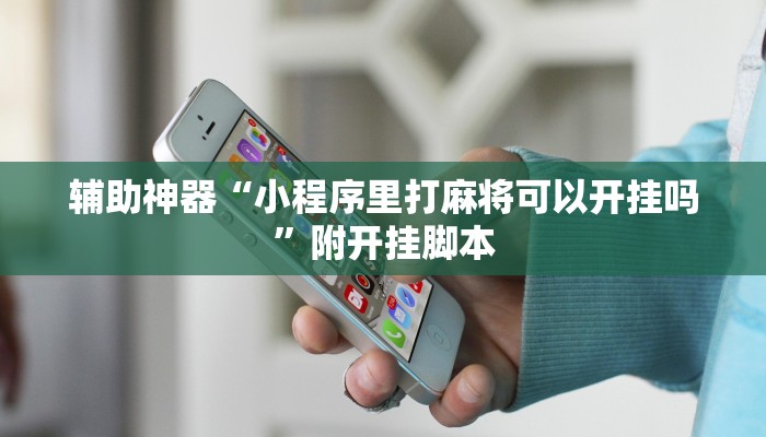 辅助神器“小程序里打麻将可以开挂吗”附开挂脚本