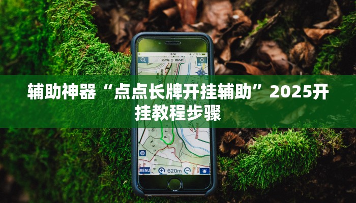 辅助神器“点点长牌开挂辅助”2025开挂教程步骤