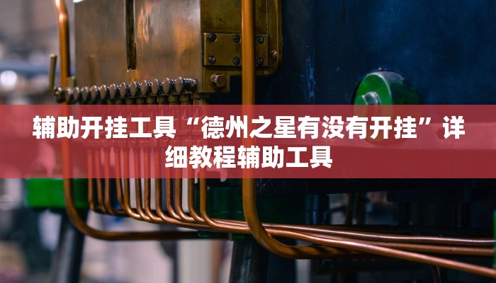 辅助开挂工具“德州之星有没有开挂”详细教程辅助工具