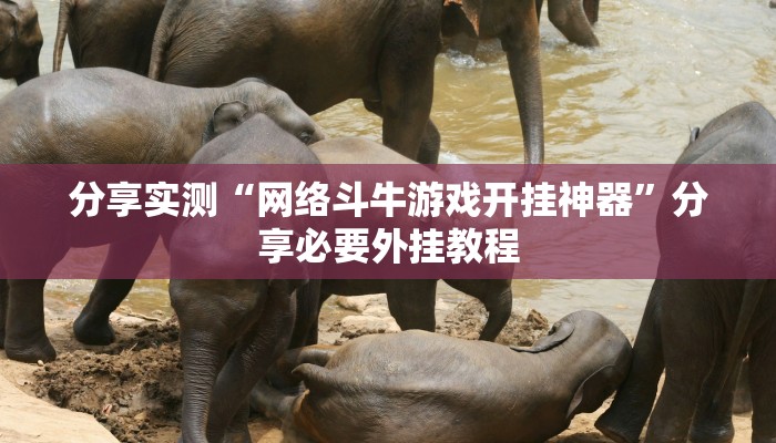分享实测“网络斗牛游戏开挂神器”分享必要外挂教程