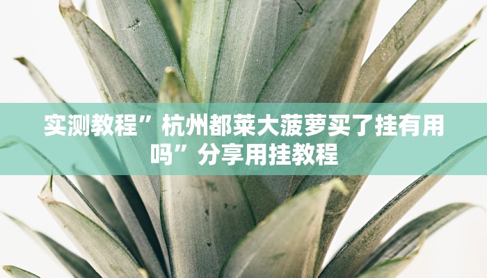 实测教程”杭州都莱大菠萝买了挂有用吗”分享用挂教程 实测教程”杭州都莱大菠萝买了挂有用吗”分享用挂教程