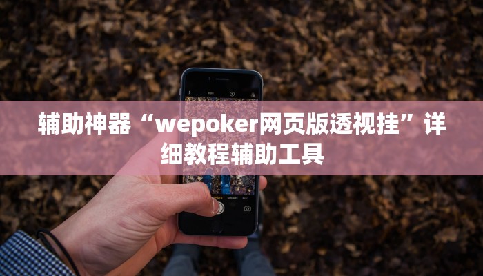 辅助神器“wepoker网页版透视挂”详细教程辅助工具 辅助神器“wepoker网页版透视挂”详细教程辅助工具