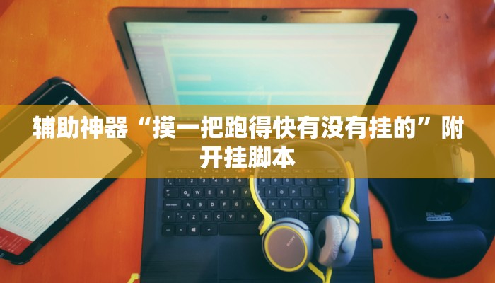 辅助神器“摸一把跑得快有没有挂的”附开挂脚本