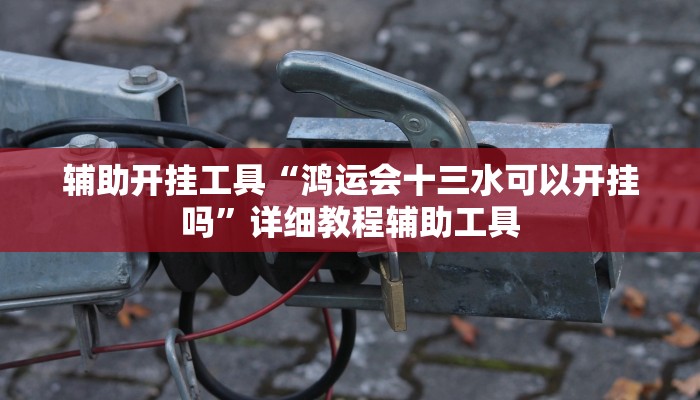 辅助开挂工具“鸿运会十三水可以开挂吗”详细教程辅助工具