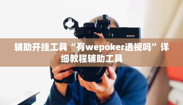 辅助开挂工具“有wepoker透视吗”详细教程辅助工具