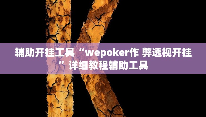 辅助开挂工具“wepoker作 弊透视开挂”详细教程辅助工具