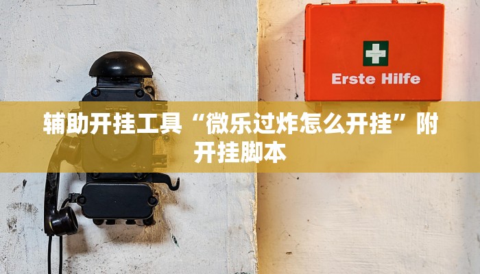 辅助开挂工具“微乐过炸怎么开挂”附开挂脚本 辅助开挂工具“微乐过炸怎么开挂”附开挂脚本