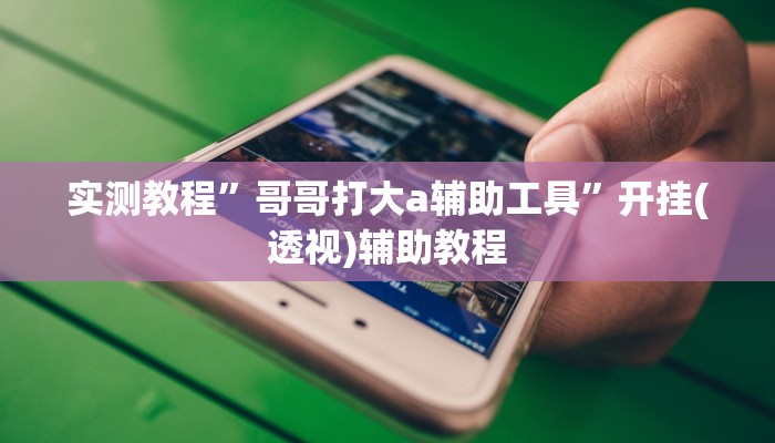 实测教程”哥哥打大a辅助工具”开挂(透视)辅助教程