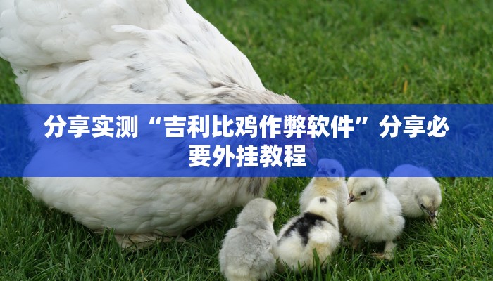 分享实测“吉利比鸡作弊软件”分享必要外挂教程