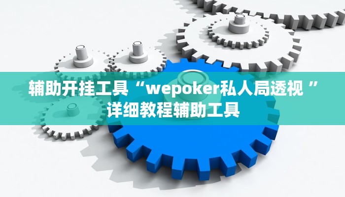 辅助开挂工具“wepoker私人局透视 ”详细教程辅助工具