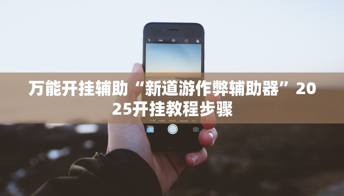 万能开挂辅助“新道游作弊辅助器”2025开挂教程步骤