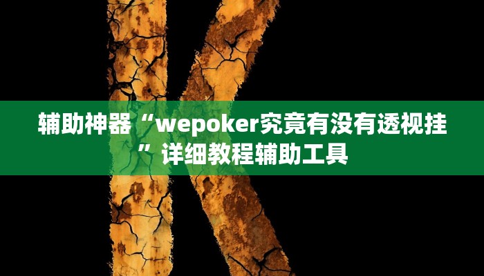 辅助神器“wepoker究竟有没有透视挂”详细教程辅助工具
