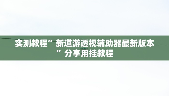 实测教程”新道游透视辅助器最新版本”分享用挂教程