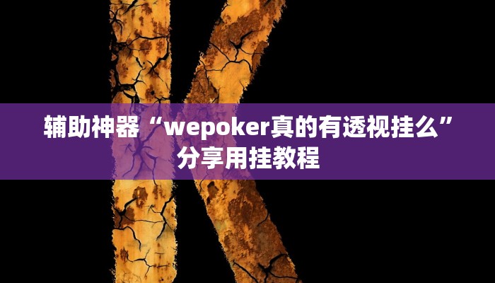 辅助神器“wepoker真的有透视挂么”分享用挂教程