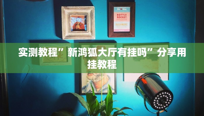 实测教程”新鸿狐大厅有挂吗”分享用挂教程