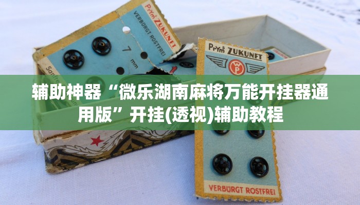 辅助神器“微乐湖南麻将万能开挂器通用版”开挂(透视)辅助教程 辅助神器“微乐湖南麻将万能开挂器通用版”开挂(透视)辅助教程