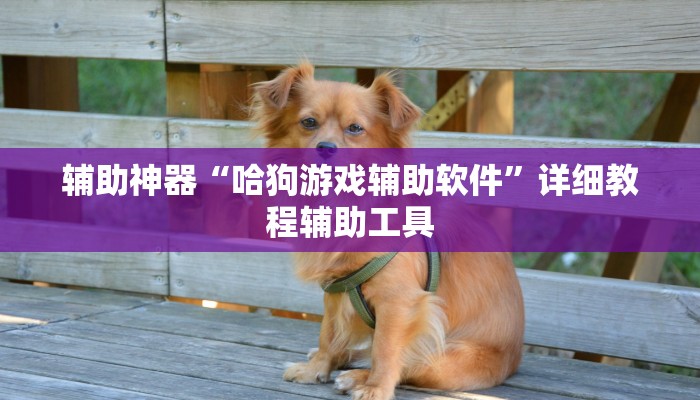 辅助神器“哈狗游戏辅助软件”详细教程辅助工具