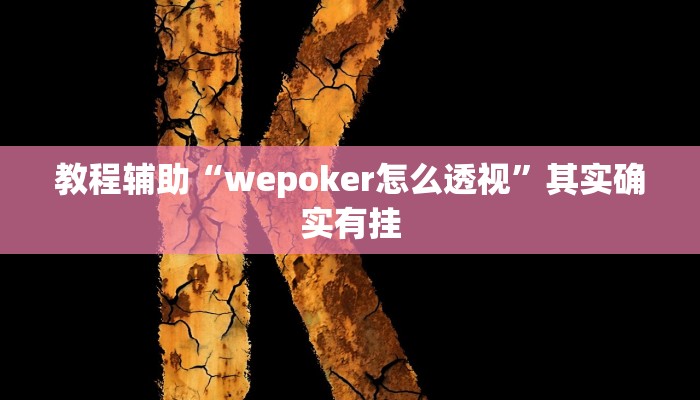 教程辅助“wepoker怎么透视”其实确实有挂