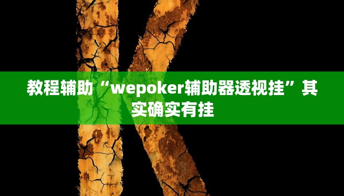 教程辅助“wepoker辅助器透视挂”其实确实有挂