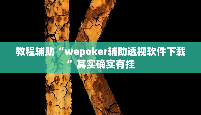 教程辅助“wepoker辅助透视软件下载”其实确实有挂