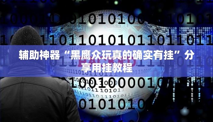 辅助神器“黑鹰众玩真的确实有挂”分享用挂教程 辅助神器“黑鹰众玩真的确实有挂”分享用挂教程