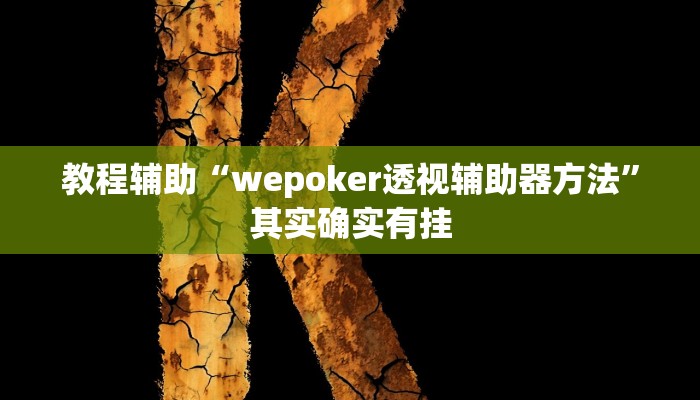 教程辅助“wepoker透视辅助器方法”其实确实有挂