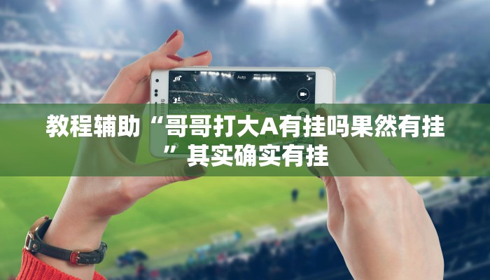 教程辅助“哥哥打大A有挂吗果然有挂”其实确实有挂