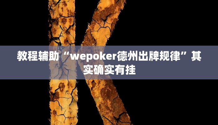 教程辅助“wepoker德州出牌规律”其实确实有挂