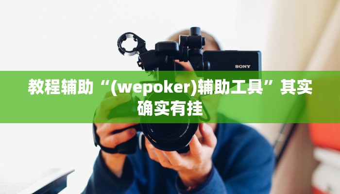 教程辅助“(wepoker)辅助工具”其实确实有挂