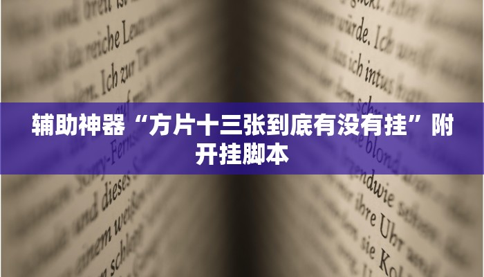 辅助神器“方片十三张到底有没有挂”附开挂脚本
