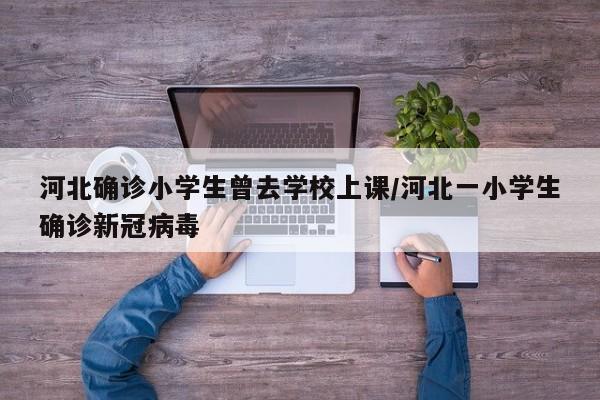 河北确诊小学生曾去学校上课/河北一小学生确诊新冠病毒